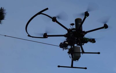 CDSI Drone Chenilles processionnaires