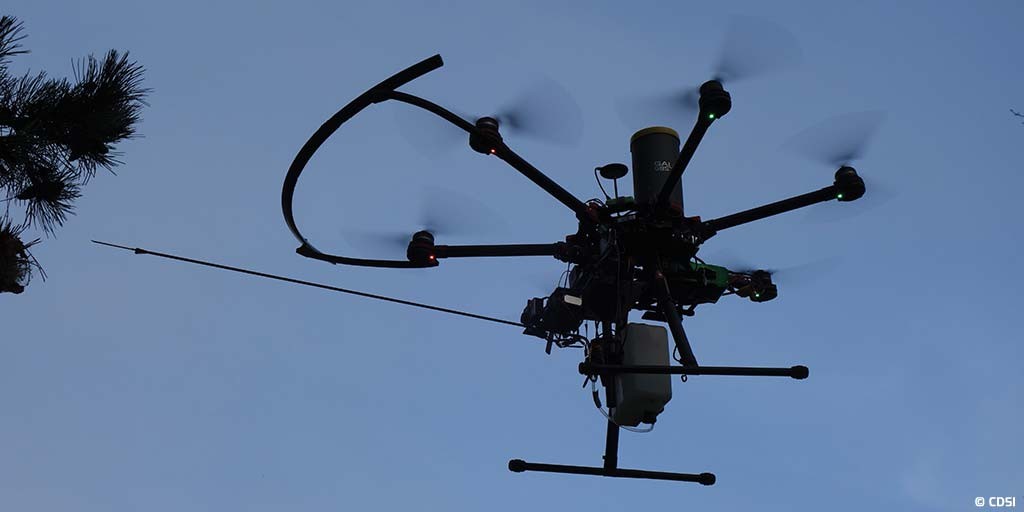 CDSI Drone Chenilles processionnaires