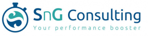 sng consulting sng consulting